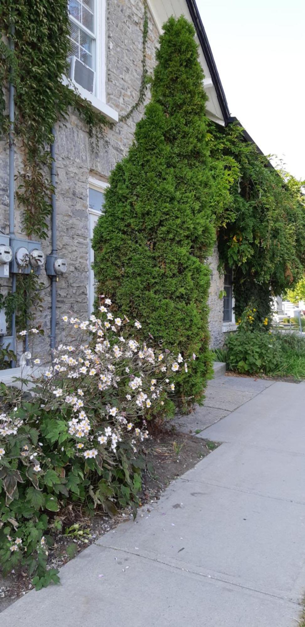 Villa Stone Carriage House Picton Exterior foto
